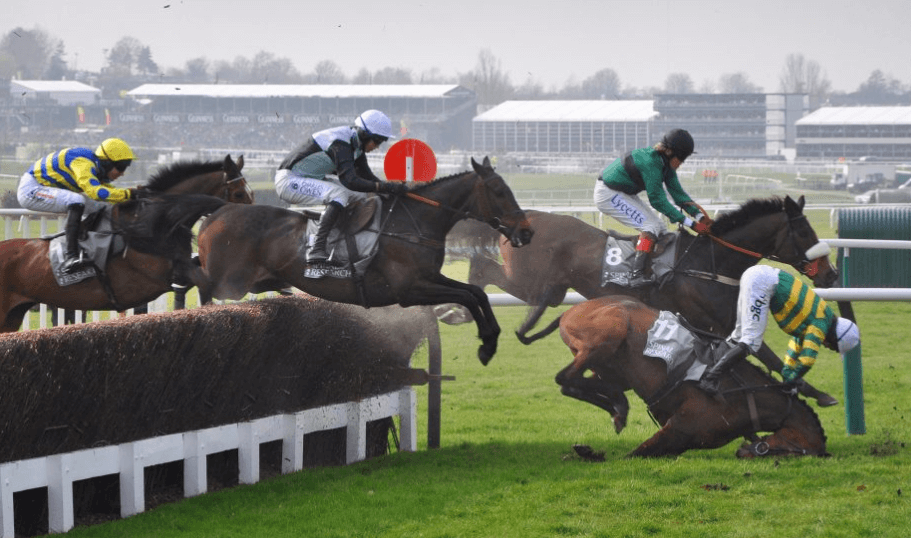 The Ethics of Horse Racing and Animal Welfare